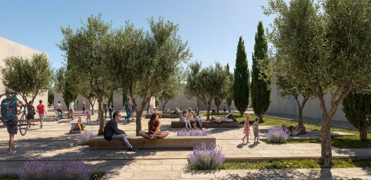 Monastery plaza with olive grove, cypress and stone benches — Ayia Napa (Plate IV)